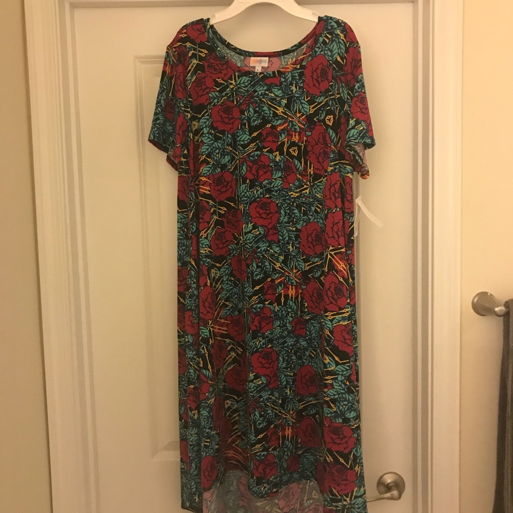 Lularoe Carly size large NWT